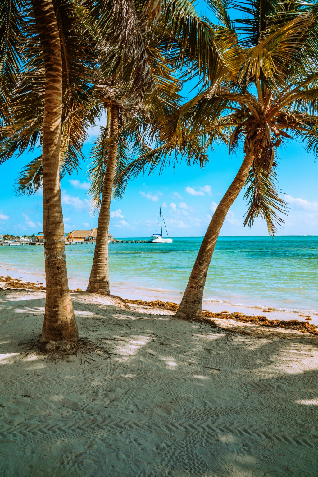 A Responsible Traveler’s Guide to the Cayo&nbsp;District