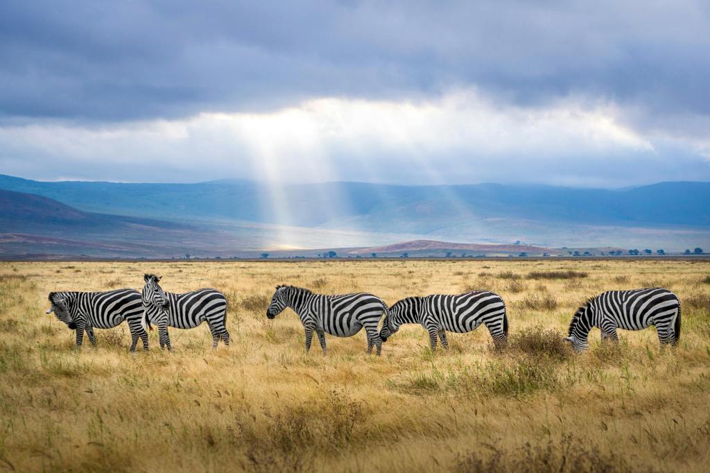 Planning South Africa Beyond Safari: How Landscapes Shape the&nbsp;Journey